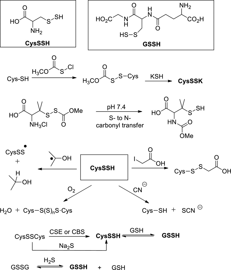 Scheme 11