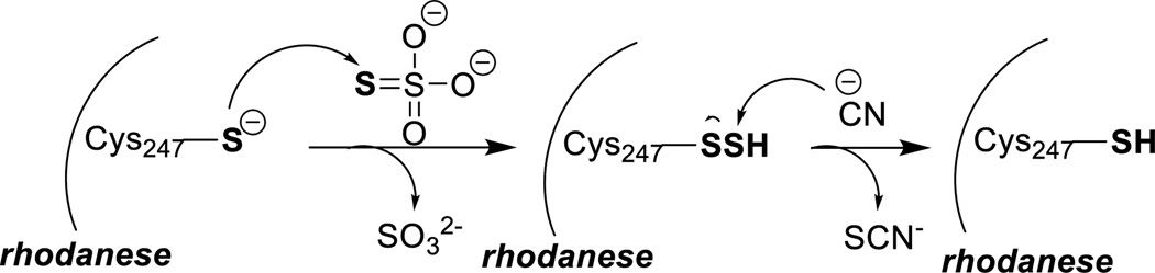 Scheme 14