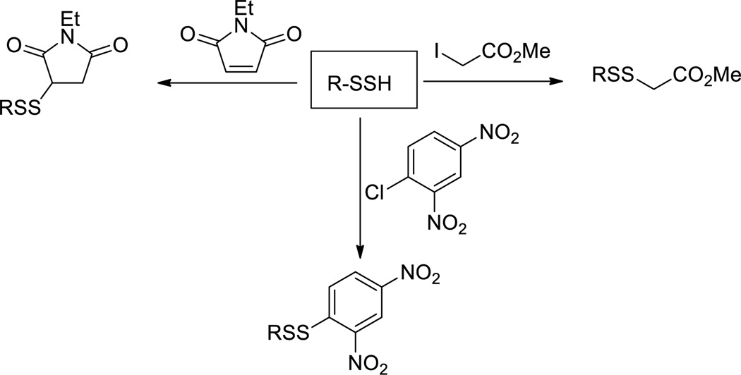 Scheme 8