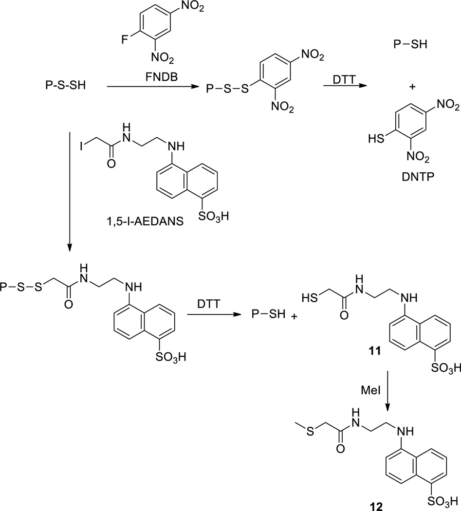 Scheme 16