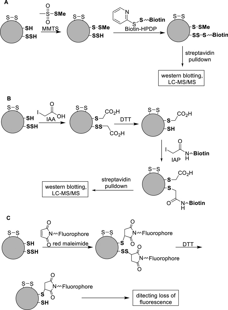 Scheme 17