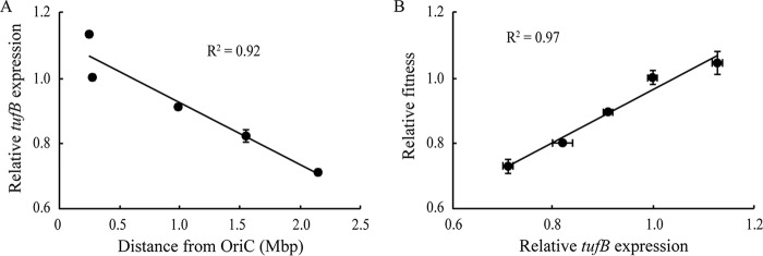 FIG 3