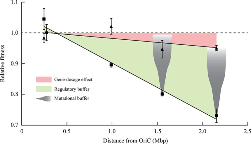 FIG 2