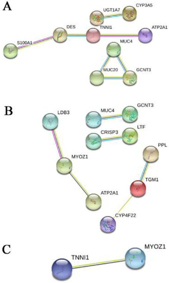 Figure 11.