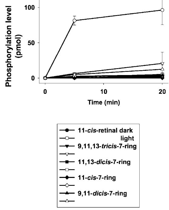 Fig.8