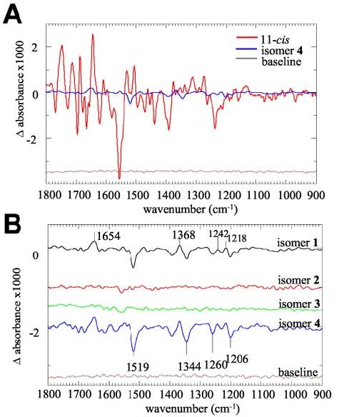 Fig.4