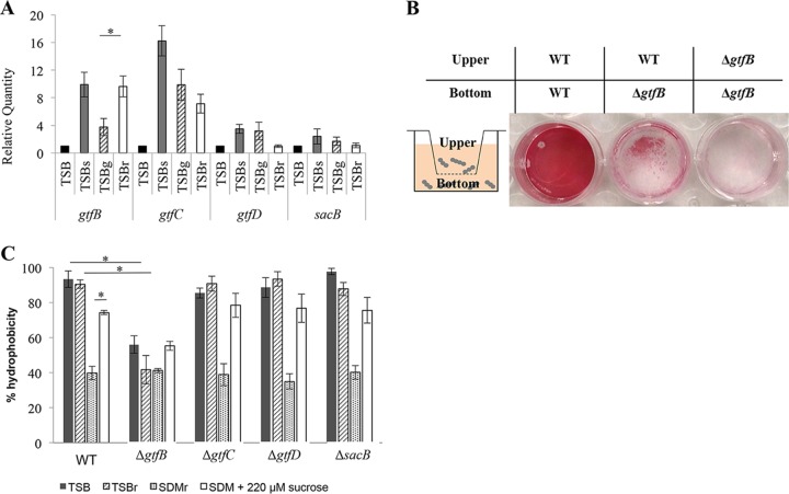 FIG 5