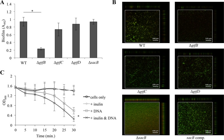 FIG 4