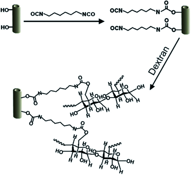 Fig. 10