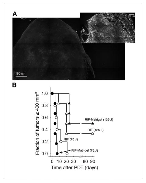 Fig 5