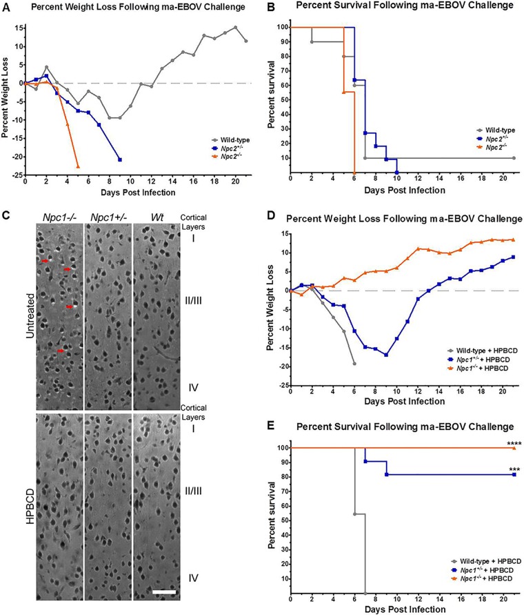 FIG 3 