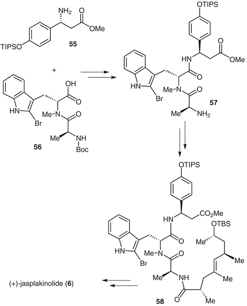 Scheme 8