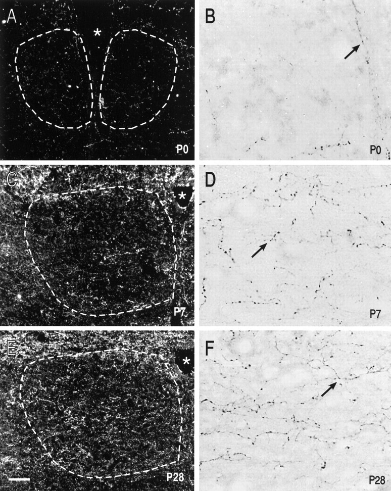 Fig. 8.