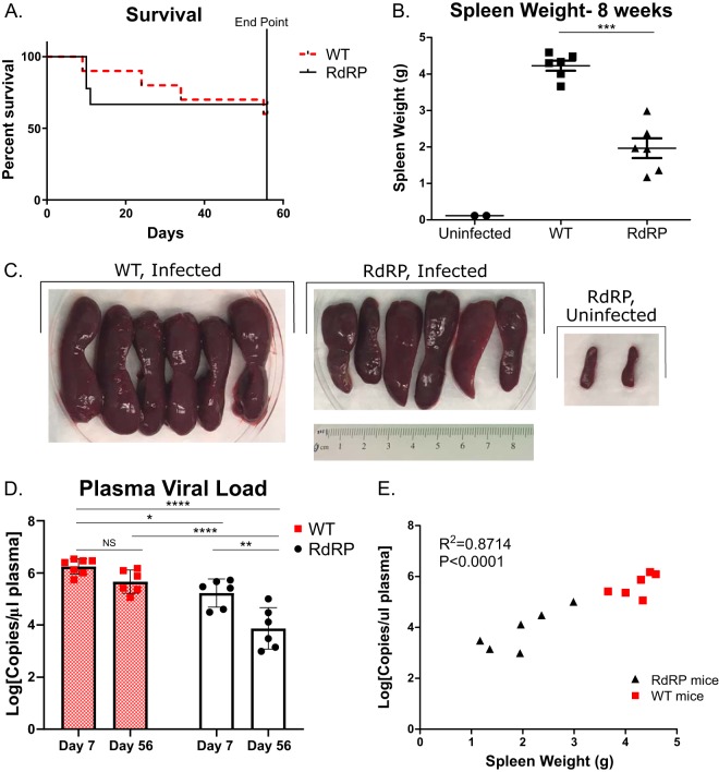 FIG 6