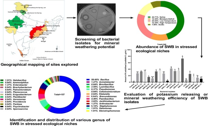 graphic file with name 42770_2019_210_Figa_HTML.jpg