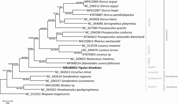 Fig. 8.