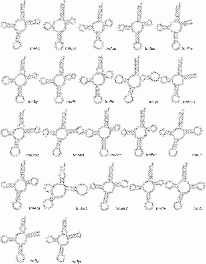 Fig. 2.