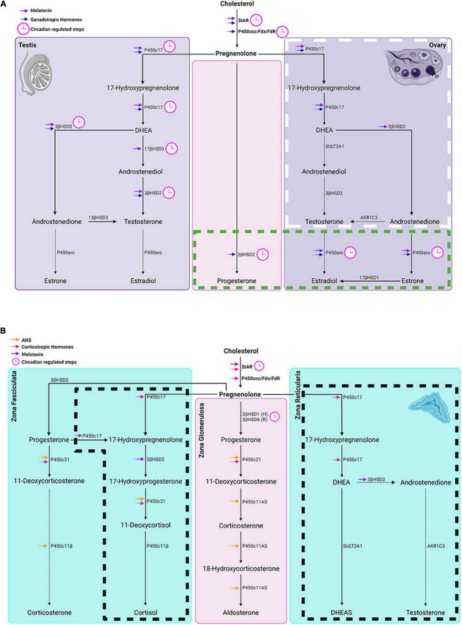 FIGURE 4