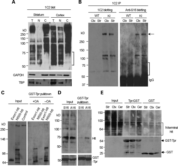 Figure 7.