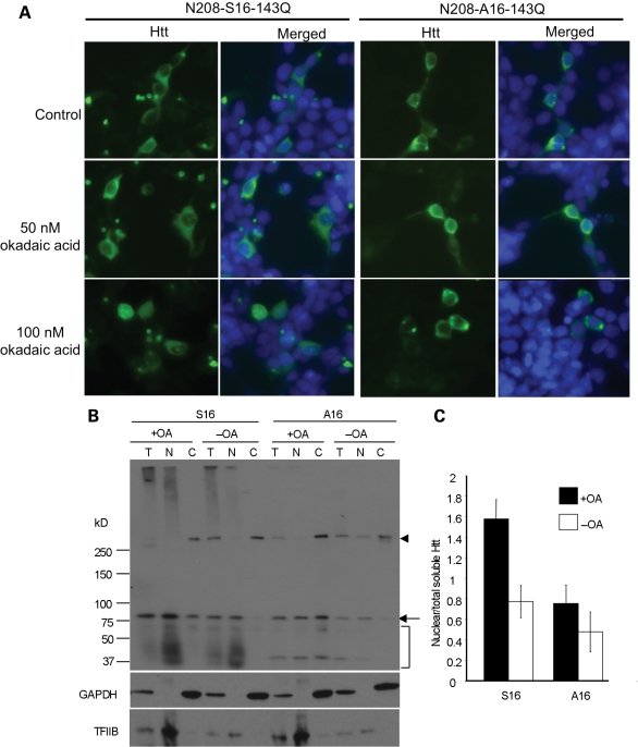 Figure 2.