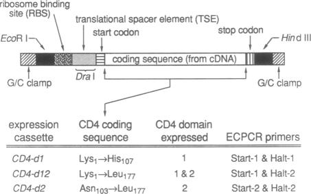 graphic file with name pnas01030-0318-a.jpg