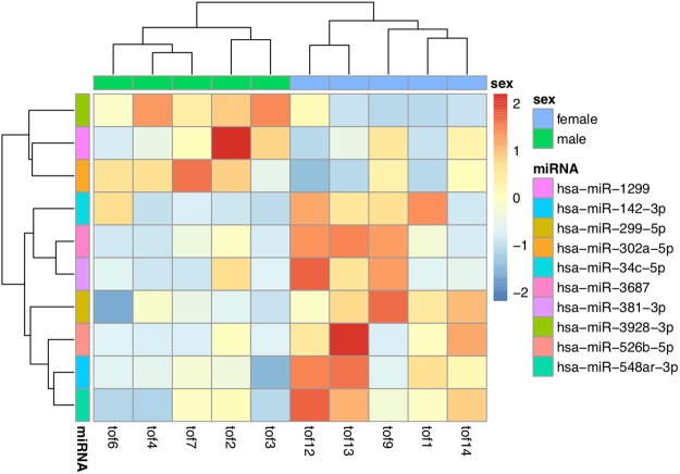 Figure 6