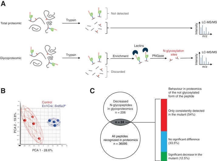 Figure 4—figure supplement 1.