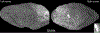 Figure 13.