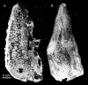 Figure 14.