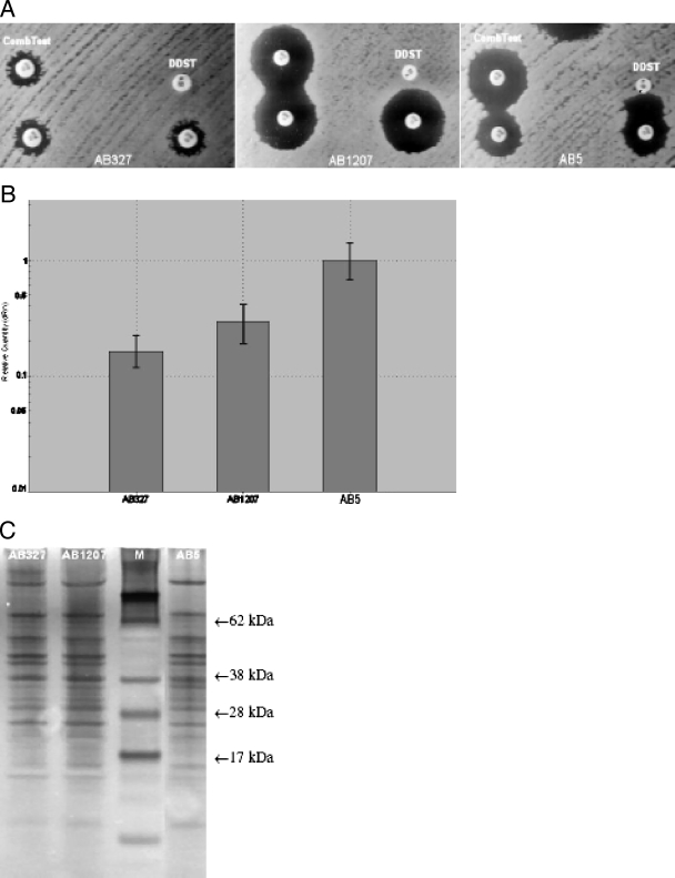 FIG. 1.