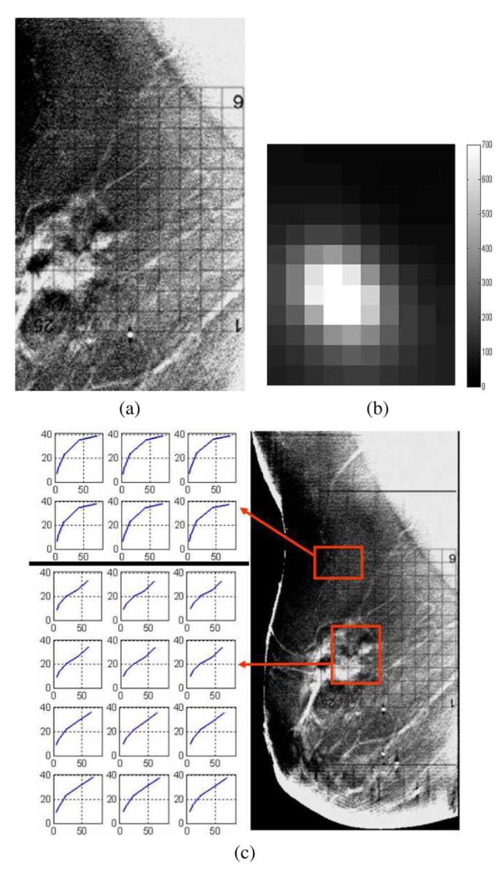 Fig. 10