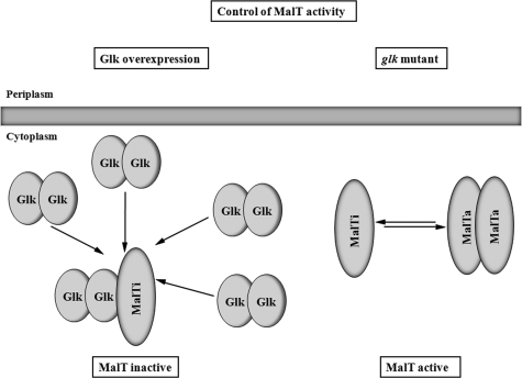 FIG. 7.