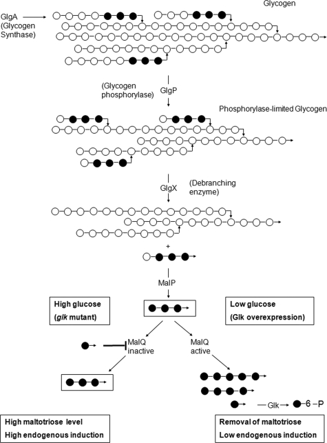 FIG. 6.