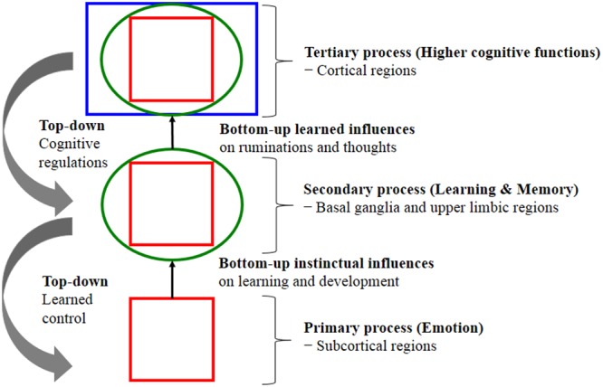 FIGURE 1