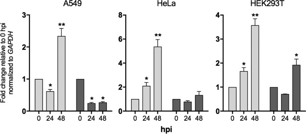 FIG 7