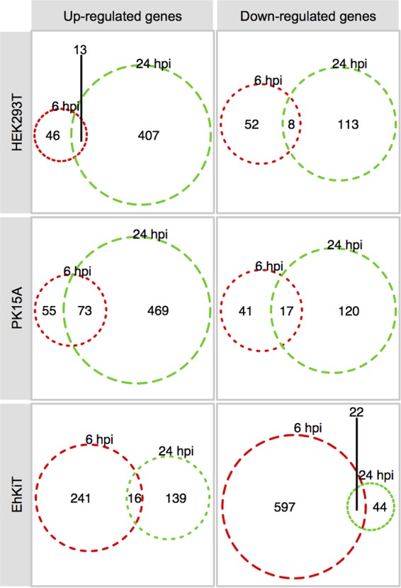 FIG 2