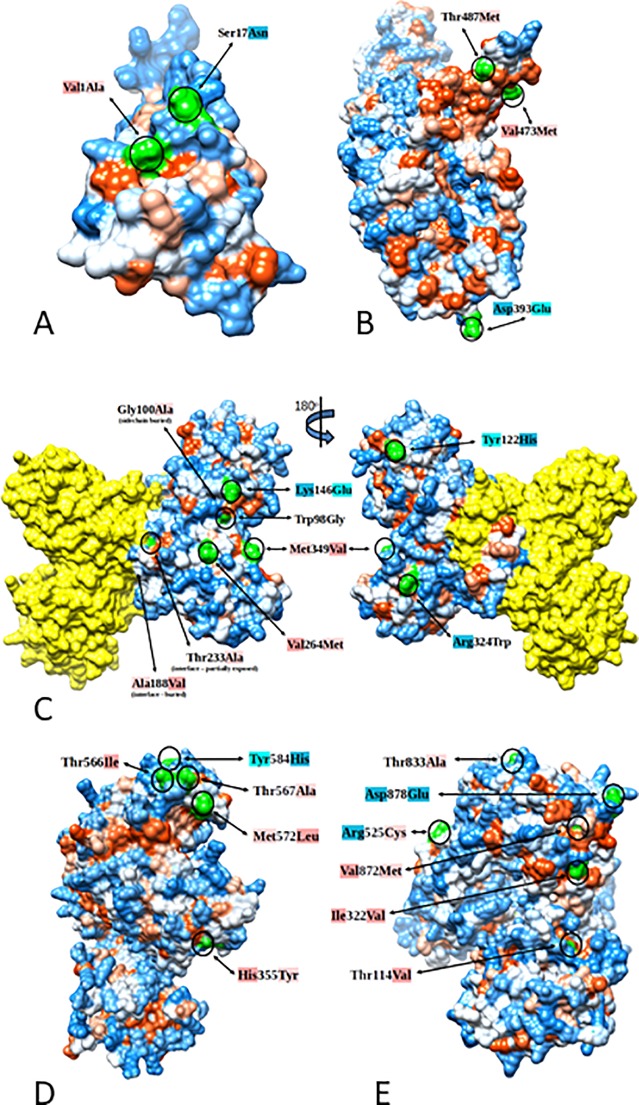 Fig 4