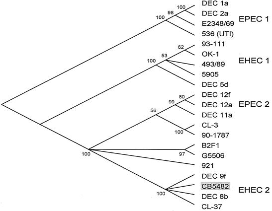 FIG. 1.