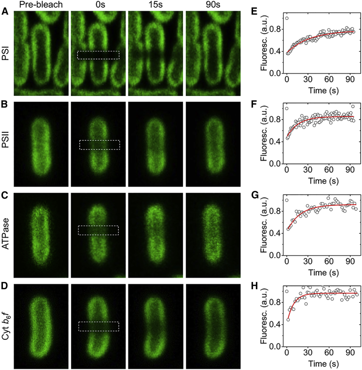 Figure 4