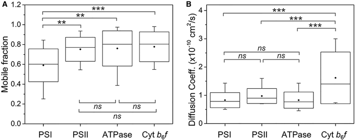 Figure 5