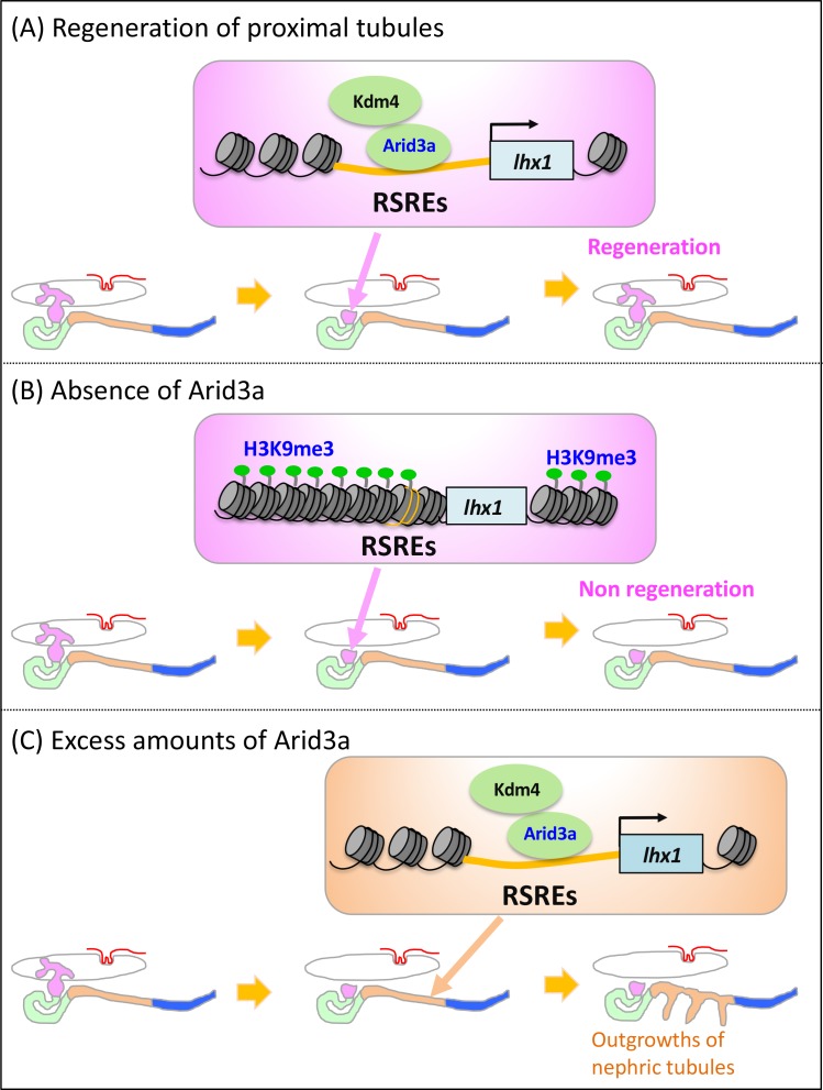 Figure 7.