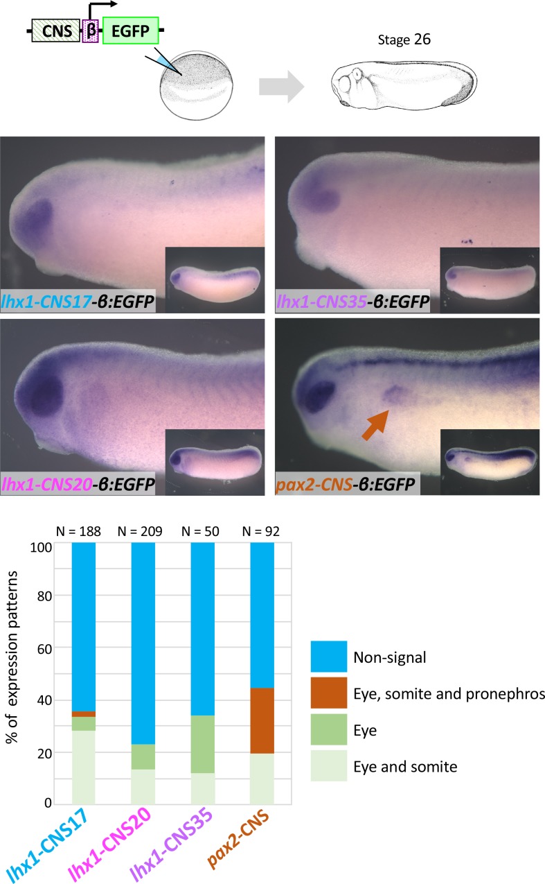 Figure 3—figure supplement 1.