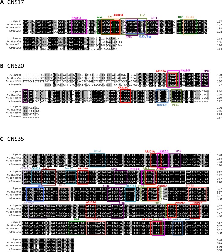 Figure 4—figure supplement 1.