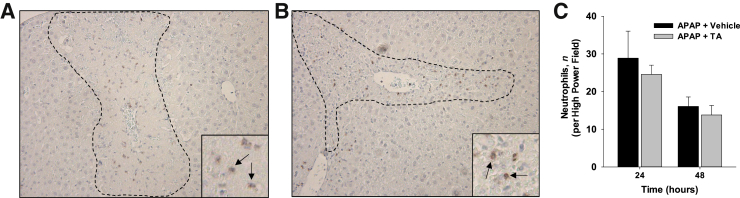 Figure 10