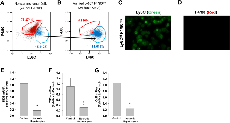 Figure 12