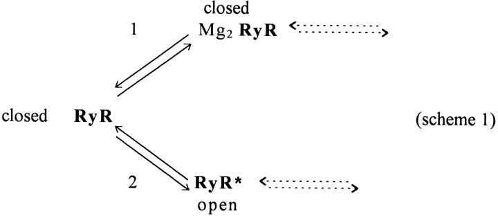 Scheme 1