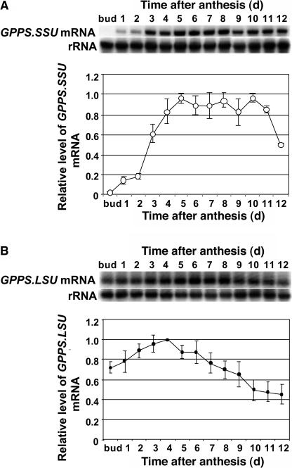 Figure 10.