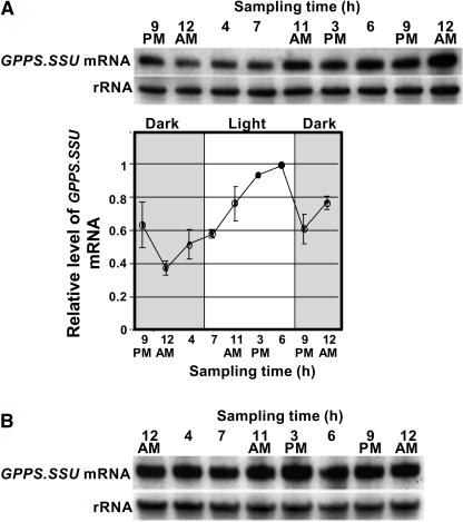 Figure 11.