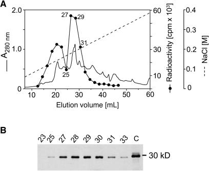 Figure 7.