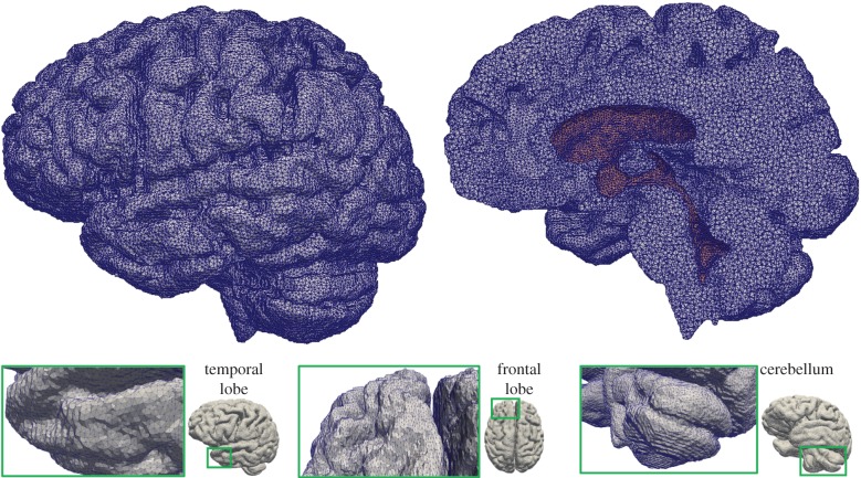 Figure 10.